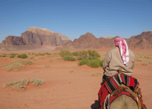 Desert and Marrakech