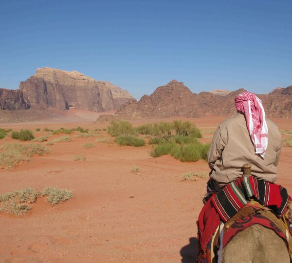 magic tours and travel marocco